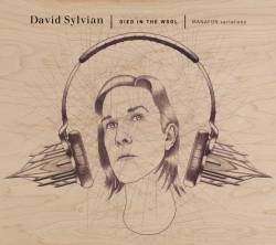 David Sylvian : Died in the Wool